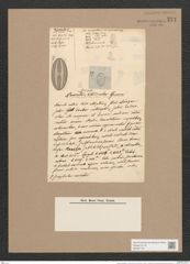 Navicula forcipata var. versicolor Grun. (de-Toni-Nr.: Genus 1, Species 332) Zeichnungen Sammlung Grunow Nr. 771 (NHMW-BOT-W0367176)